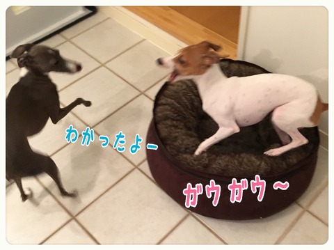2016-03-25-23-30-39