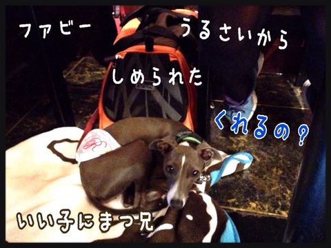 2014-10-12-22-30-49