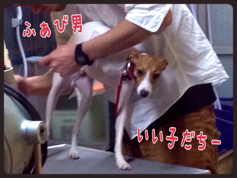 2015-04-19-19-15-25