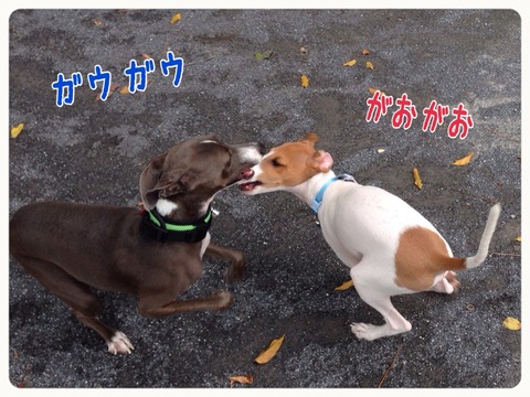 2014-10-02-18-54-57