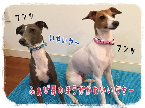 2016-01-11-23-23-41