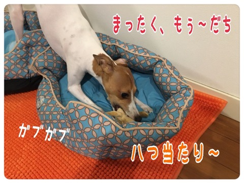 2015-12-06-22-42-44