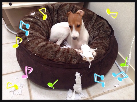 2015-01-06-23-10-35