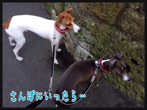 2015-02-28-21-34-07