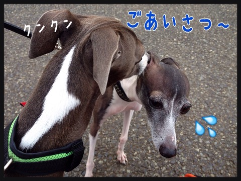 2014-10-13-13-55-06