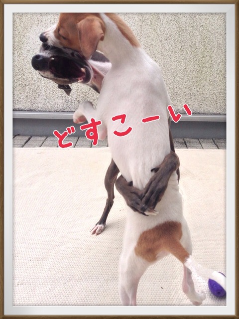 2014-09-10-09-42-42