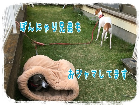 2015-10-21-22-02-04