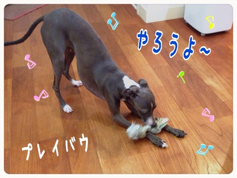 2015-08-28-22-13-16