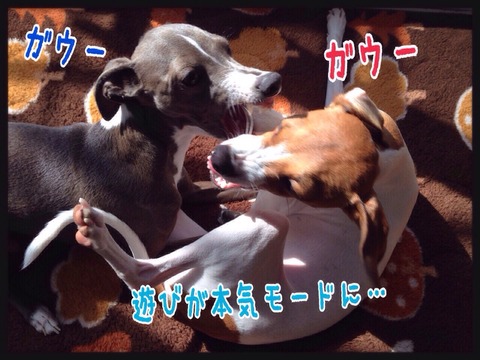 2015-04-22-22-36-41