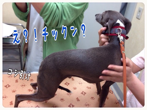 2015-04-09-21-22-51