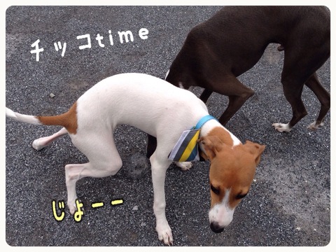2014-10-02-18-58-30