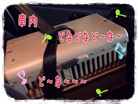 2015-01-21-21-39-21