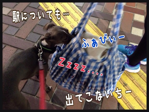 2014-10-14-23-51-00