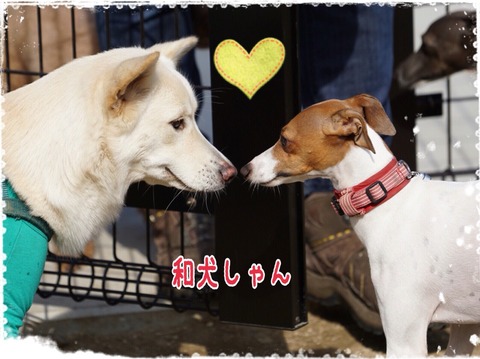 2015-11-01-22-35-38