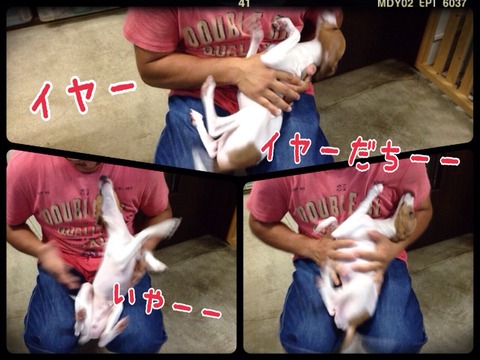 2014-10-05-23-03-32