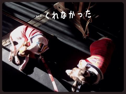 2014-10-04-00-53-53