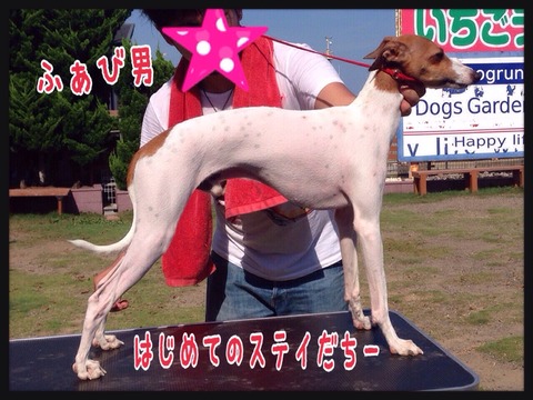 2015-07-31-22-31-08