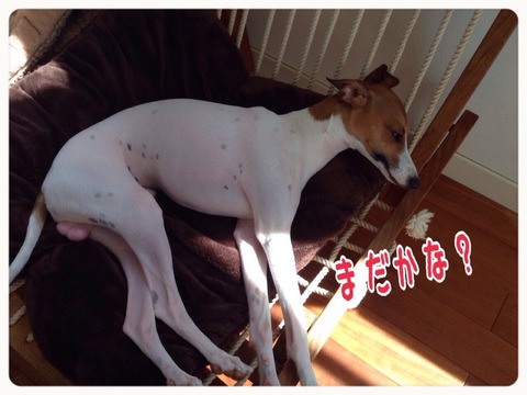 2015-07-22-23-03-08
