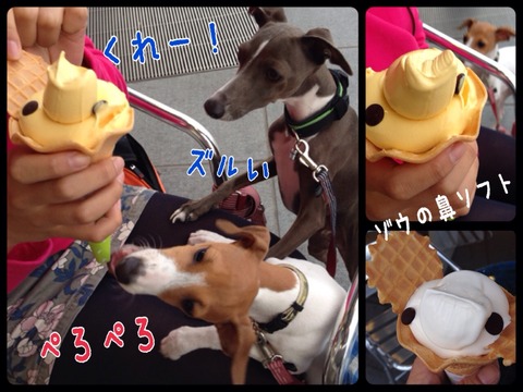 2014-10-13-14-42-54