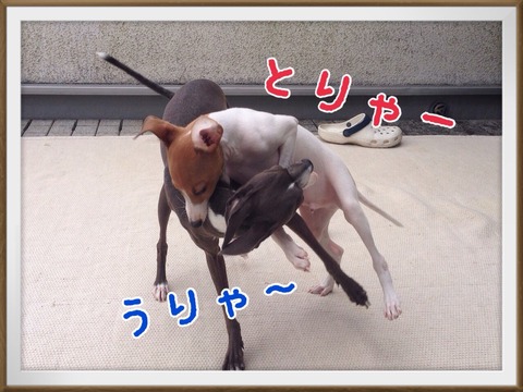 2014-09-10-09-48-06
