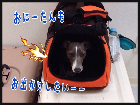 2015-03-10-22-15-37