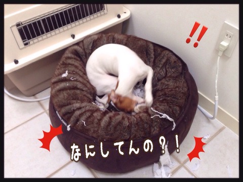 2015-01-06-22-38-36