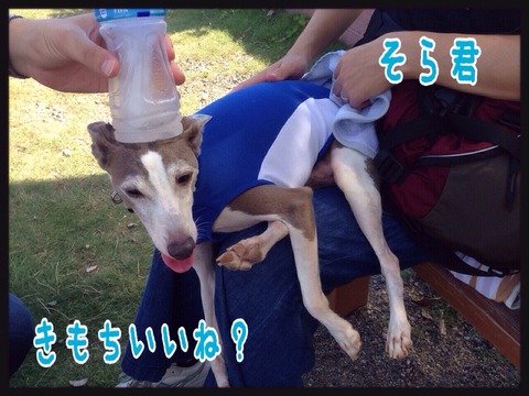 2015-07-31-22-49-28