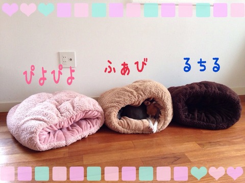 2014-11-17-14-47-51