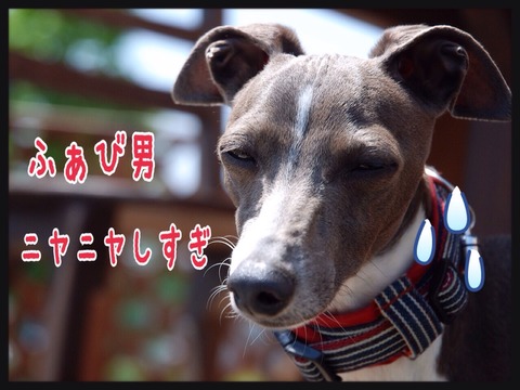 2015-05-11-23-46-47
