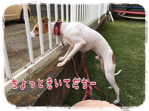 2015-10-21-22-22-20