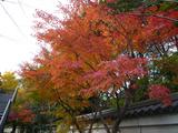 b860b061.JPG