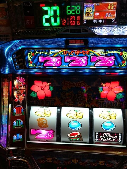IMG_20170411_155656-540x720