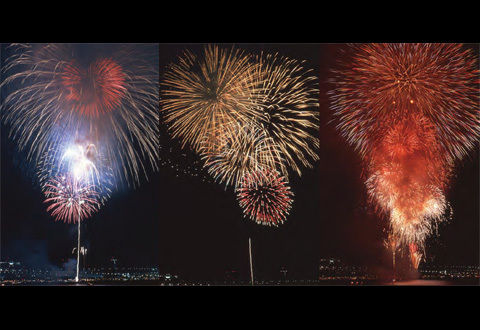 8a0e66e0c4044877e8bc91bae924bc92