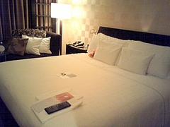 NEC_0020_20090523204602