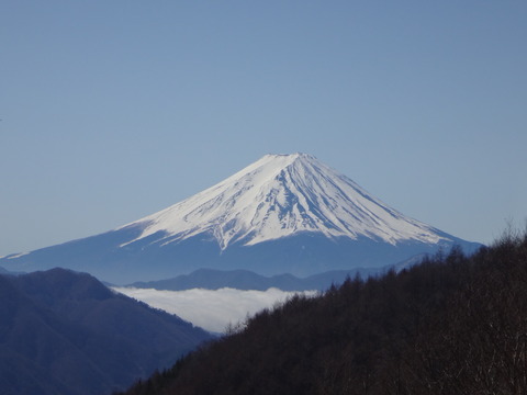 DSC05302