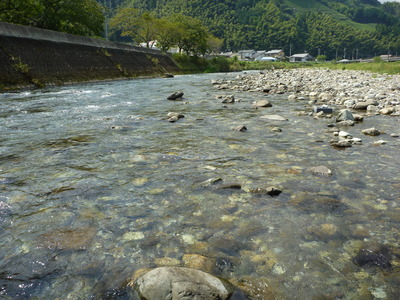 P1010540