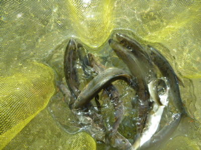 P1010062