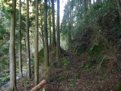 P1050191