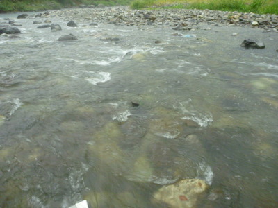 P1010460