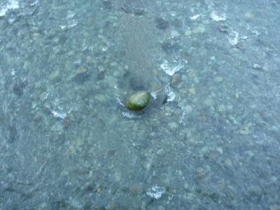 P1010330