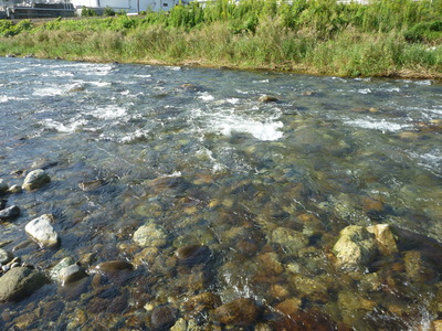 P1050464