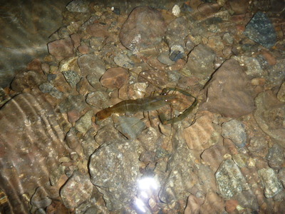 P1010581