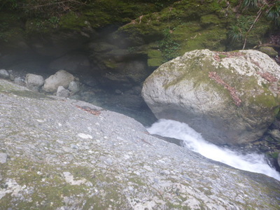 P1000307