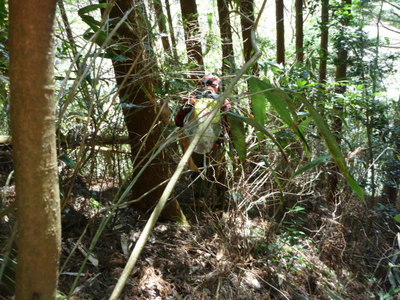 P1000292