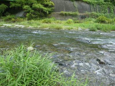 P1040912