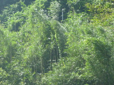 P1050479