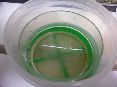 P1000188