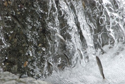 DSC_1955