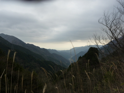 P1000308