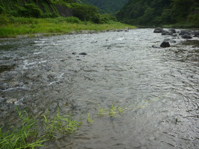 P1040911
